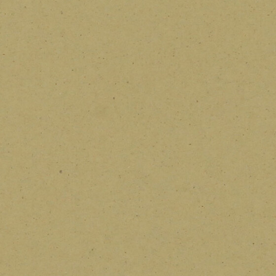 Cartulina ECO - ACEITUNA - 250grs.