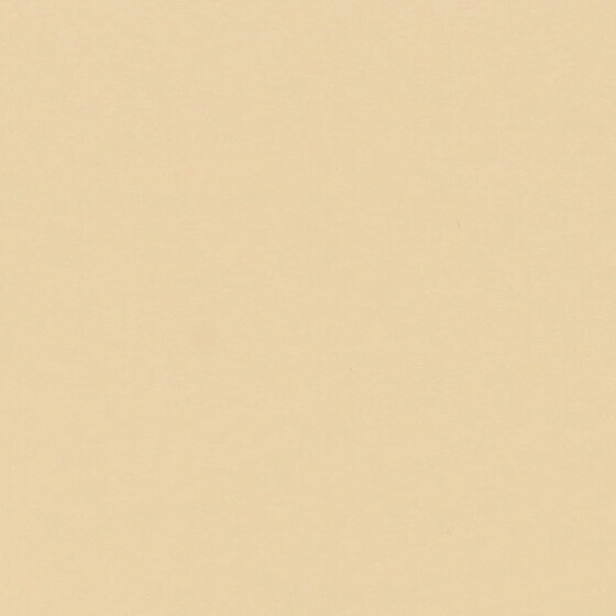 Cartulina CREMA - 250grs.