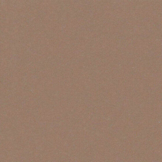 Cartulina NUEZ - 220grs.